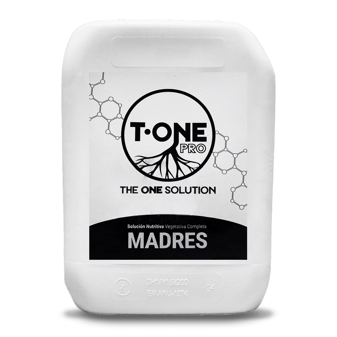 T-One Pro Mutterpflanzen T-One Pro Mutterpflanzen